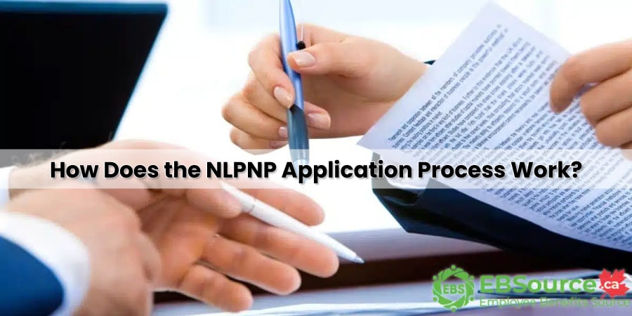 The NLPNP application process explained