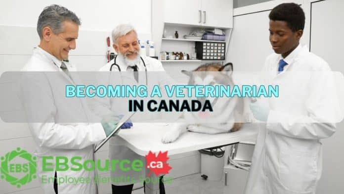 Becoming a Veterinarian in Canada ebs