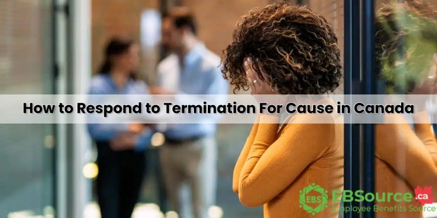 Review your employment contract and policies to see if Termination For Cause is justified.