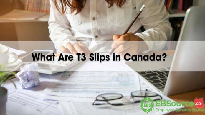 Let we expain what are T3 Slips in Canada