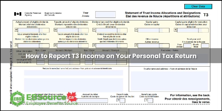 Reporting T3 Income on Your Personal Tax Return