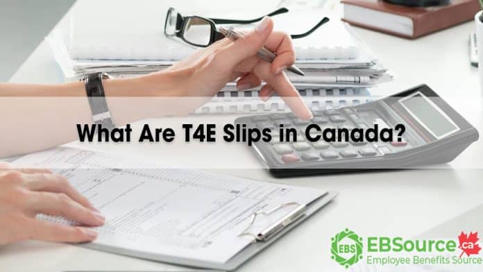 This guide help you understand T4E Slips in Canada