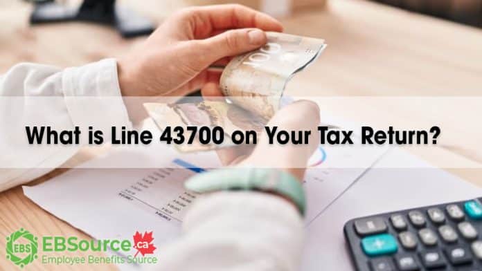 Line 43700 on the tax return reports your total income